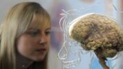 Let Play the Brain Game